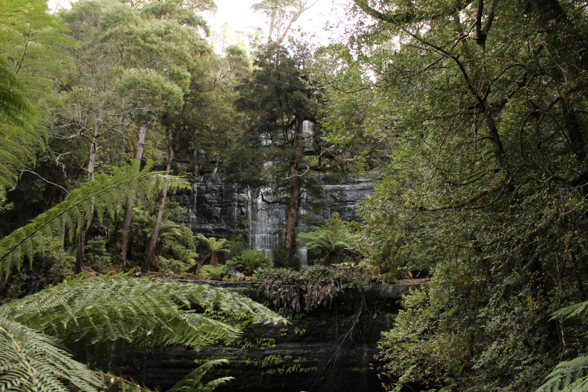 Russell Falls Mount Field