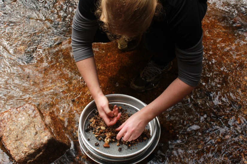 A woman panning for Sapphires.