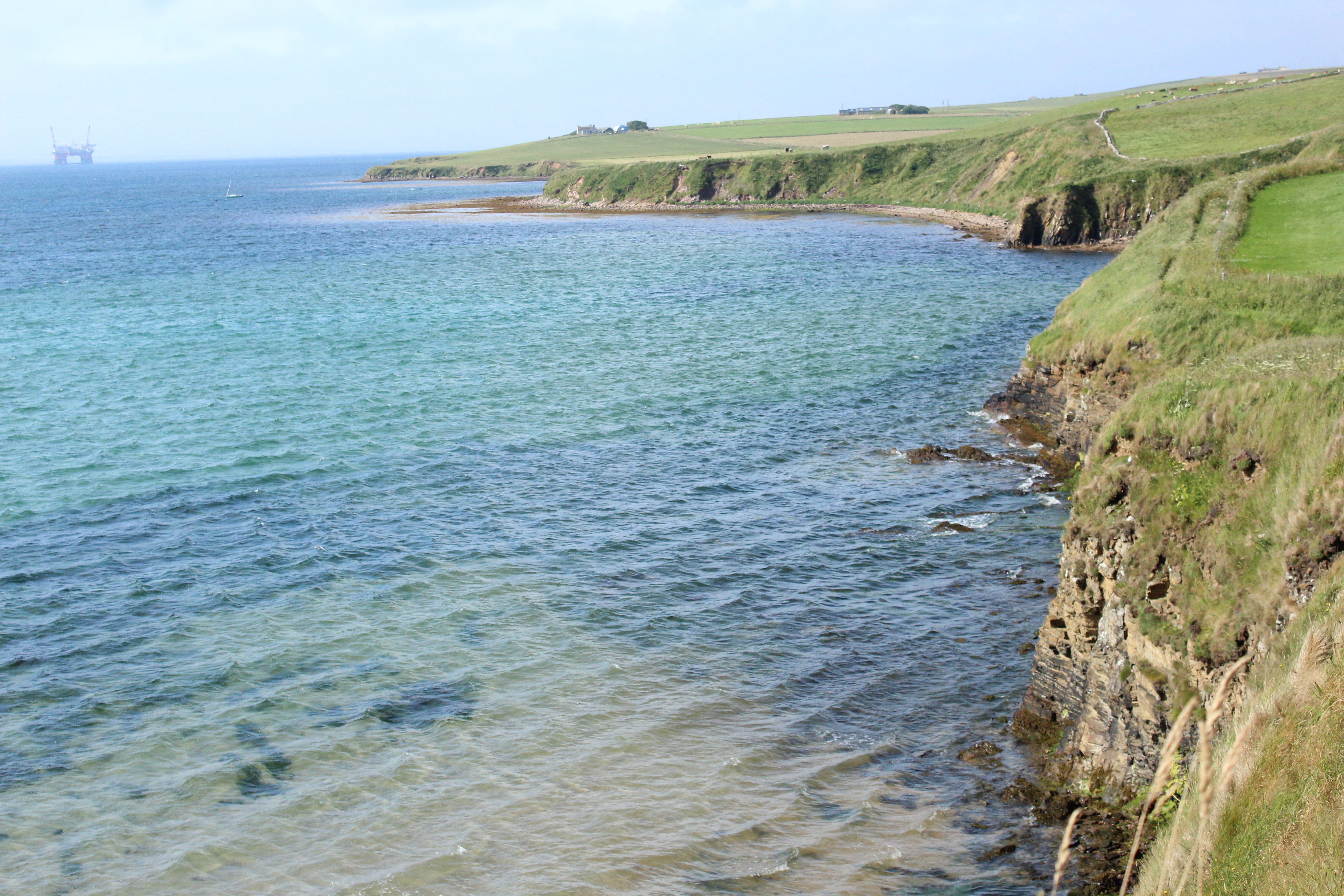The coast of Orkney in Summer