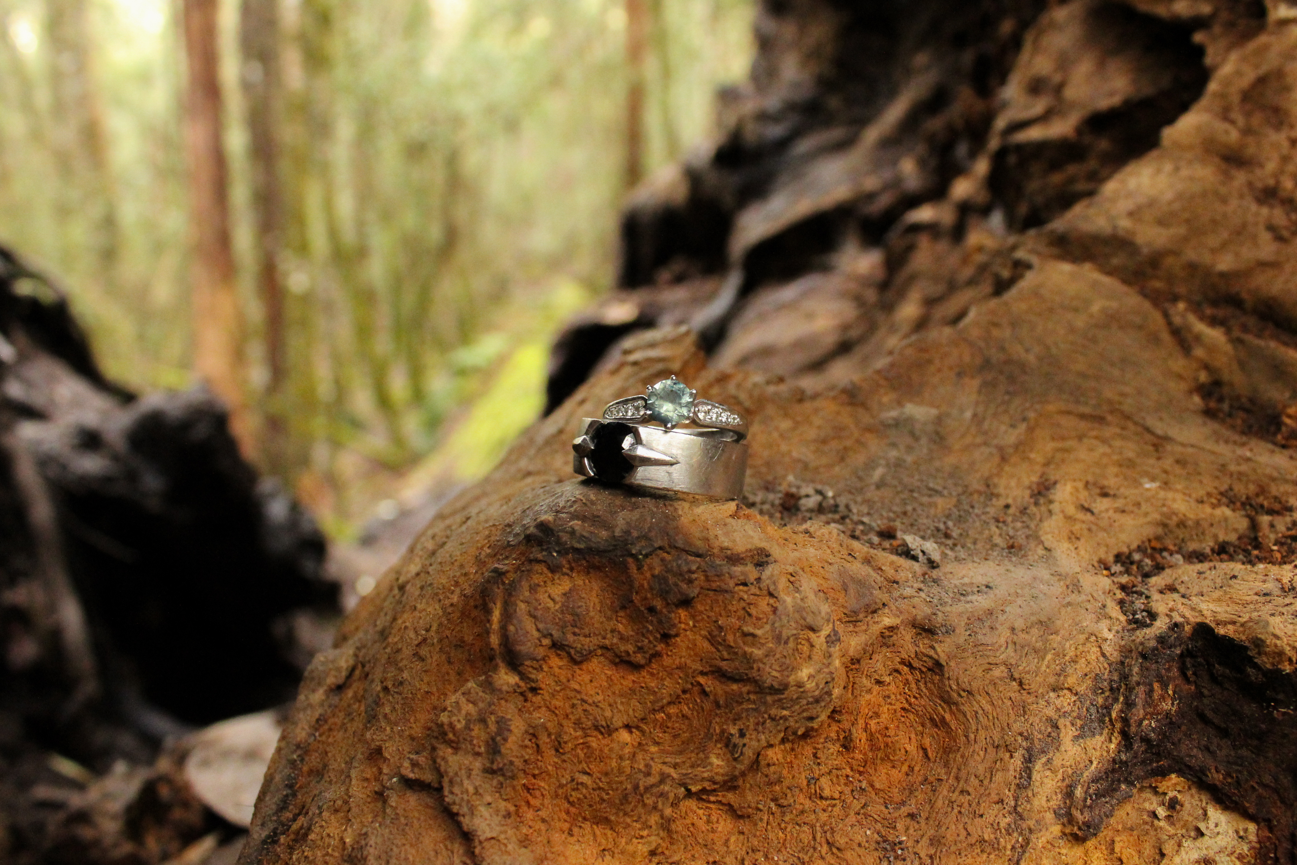 two rings in a hollow log