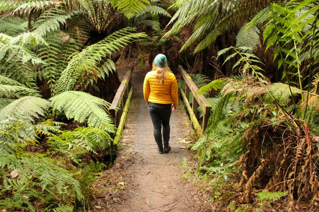 Sapphire on a wooden bridge