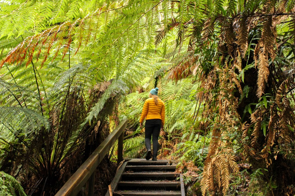 Sapphire at the top of stairs