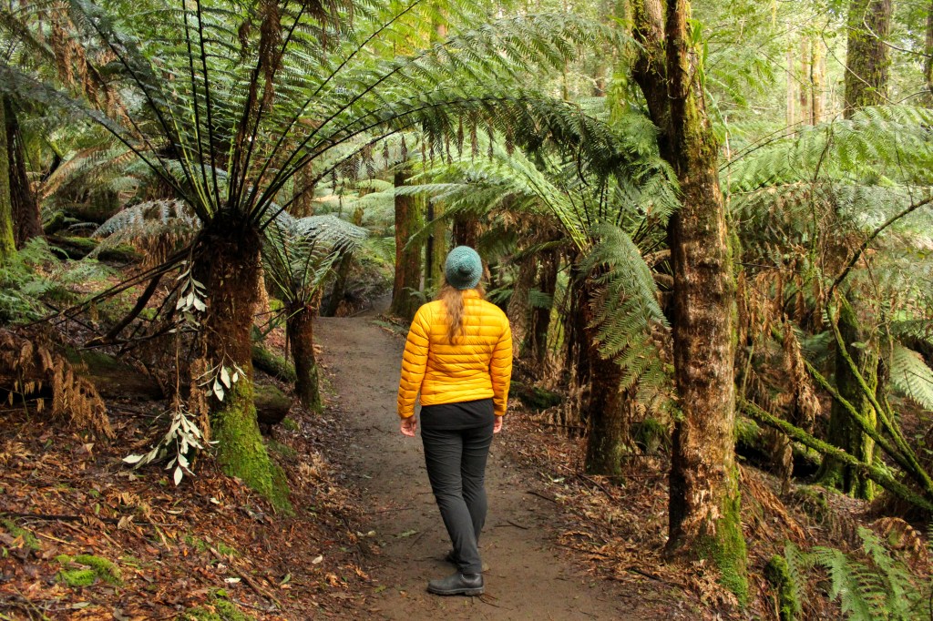 Sapphire in the Rainforest