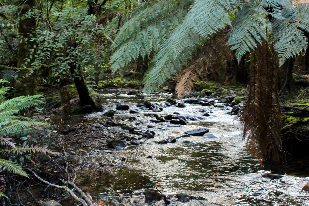 Lady Barron Creek