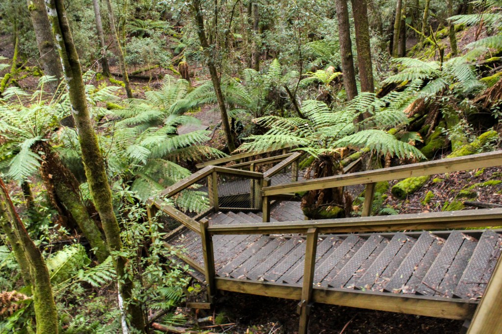 The stairs up from Lady Baron Falls