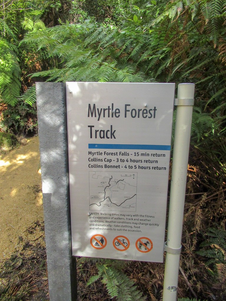 The sign at the beginning of the Myrtle Forest Track reads "Myrtle Forest Falls - 15 min return
Collins Cap- 3-4 hours return
Collins Bonnet - 4-5 hours return. No fires, no bicycles, no dogs. 