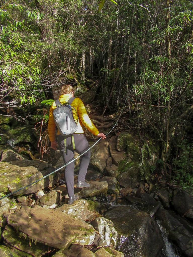 Sapphire crosses the stream a second time, this time with the aid of a string strung across the way.