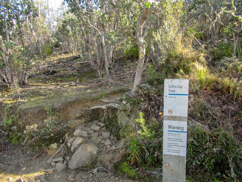 Sign marking the official beginning of the Collins Cap track from the Collins Cap fire trail reads" Warning:  walking route only. Steep and rough with minimal track marking
navigation aids recommended 