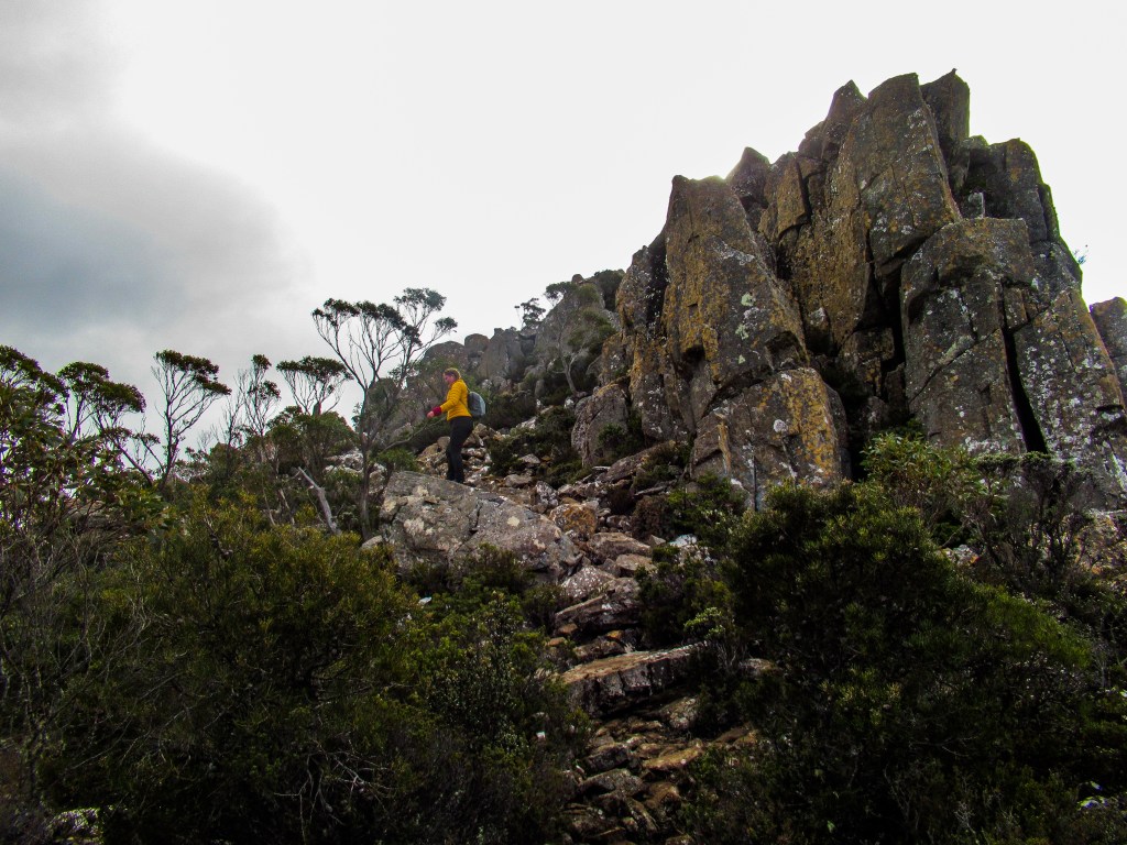 Sapphire from Sapphire and Sommelier climbs to the peak of Collins Cap