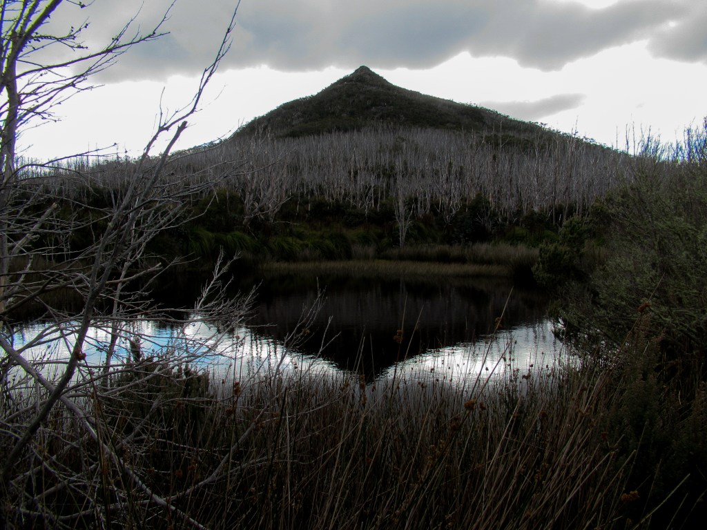 Collins Cap is reflected into off the still water of the deep pond