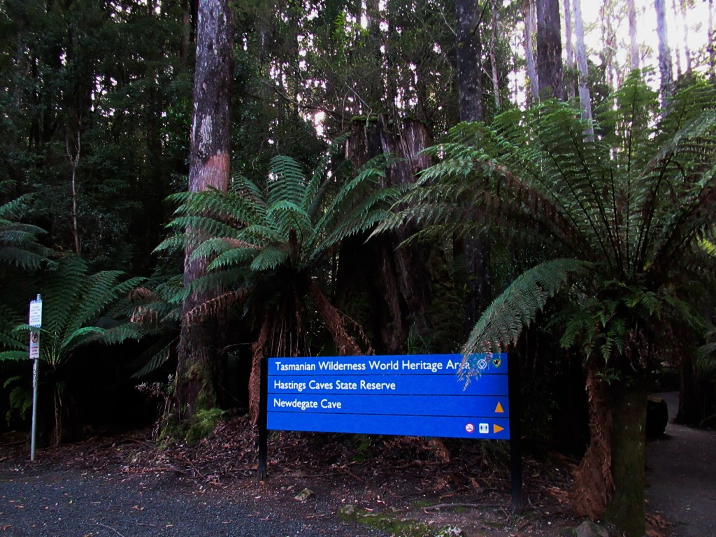 A sign, nestled between mossy ferns, reading "Tasmanian Wilderness World Heritage Area
Hastings Cave State Reserve
Newdegate Cave"