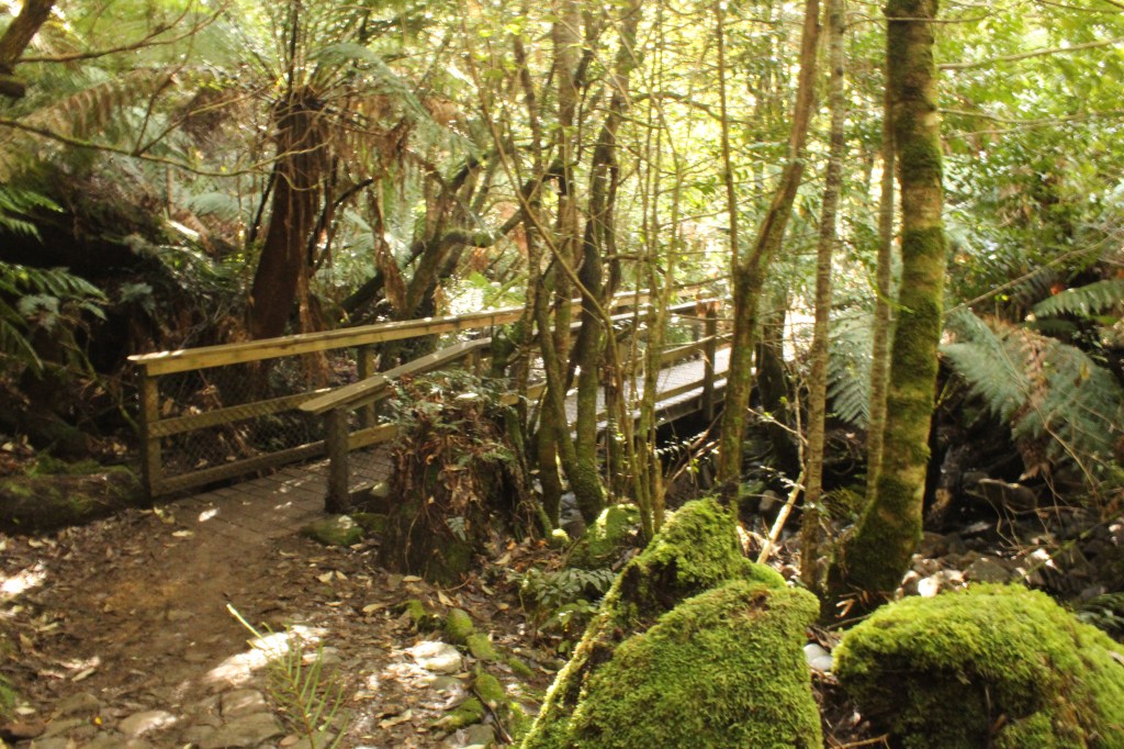 The bridge that leads into Myrtle Forest and the official start to all three tracks (falls, cap and bonnet)