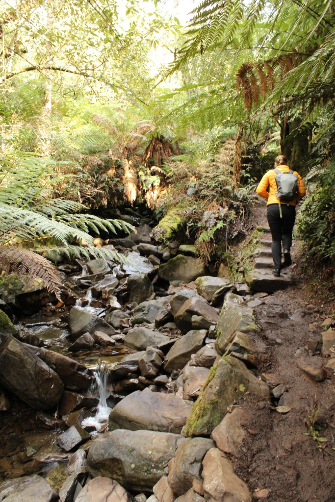 Sapphire from Sapphire and Sommelier climbs a small flight of stairs beside a rocky river's edge. 