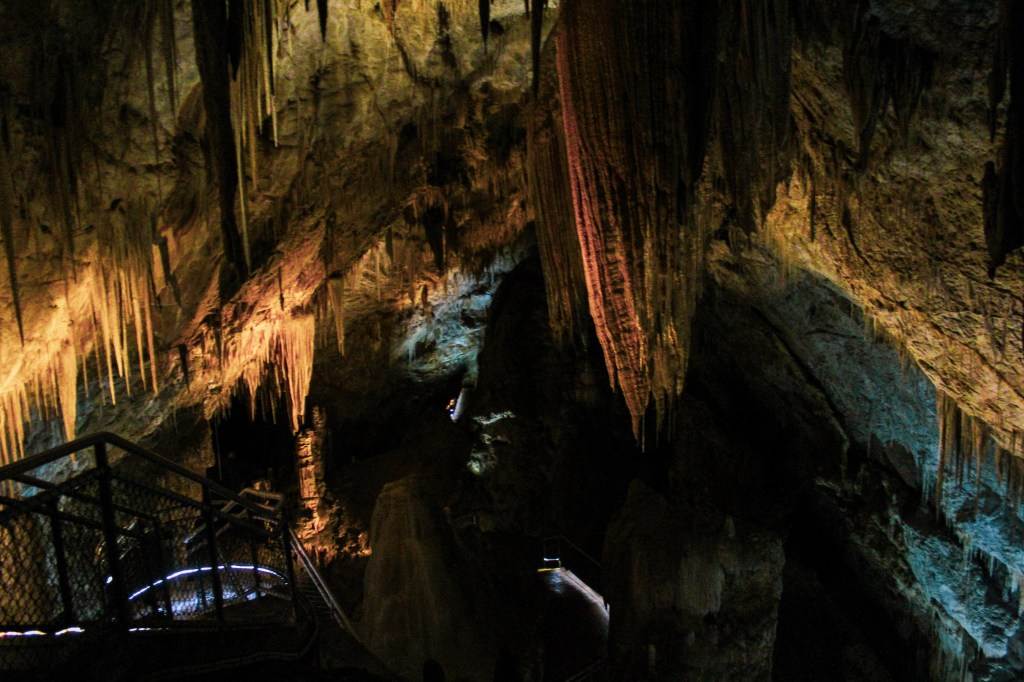 The first chamber of Newdegate Cave. The staircase that leads further inside is seen in the left of the picture and the largest column in the cave can be seen at the bottom of this winding staircase. 