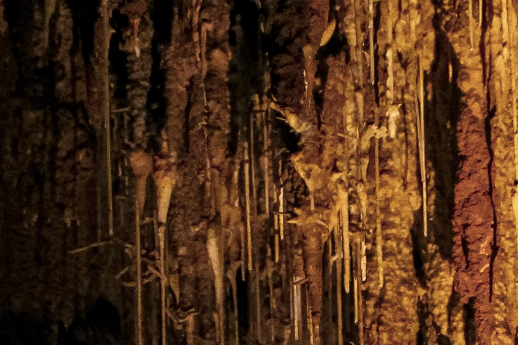 a dimly lit and digitally zoomed image shows the formation of helectities formed along the shaft of stalactites. 
