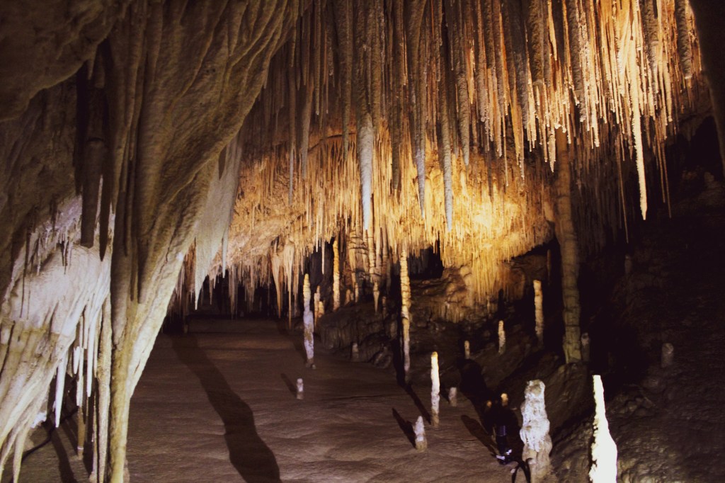 the chamber of Newdegate Cave known as Titania's Palace. It features hundreds of very thin stalactites, but an unusually stalagmite free floor which resembles a chandelier filled ballroom. 