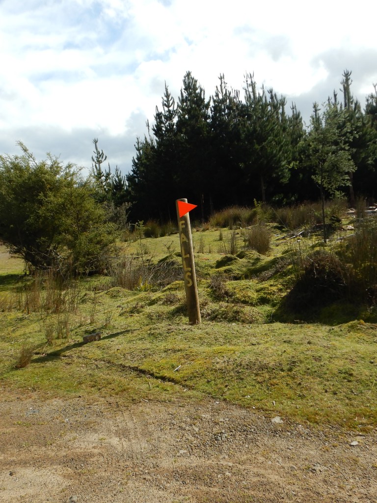a post with the word "Falls" painted on it and a bright orange arrow point the way to the walk's entryway