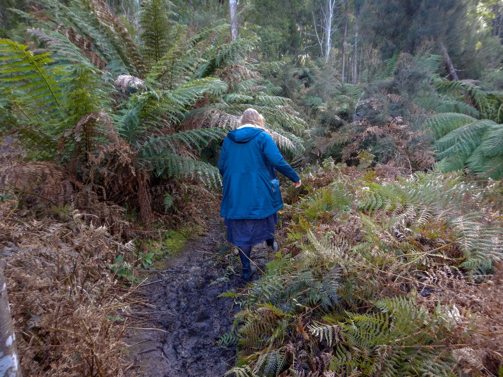 Sapphire, dressed in a blue raincoat squelches her way through the mud and ferns.