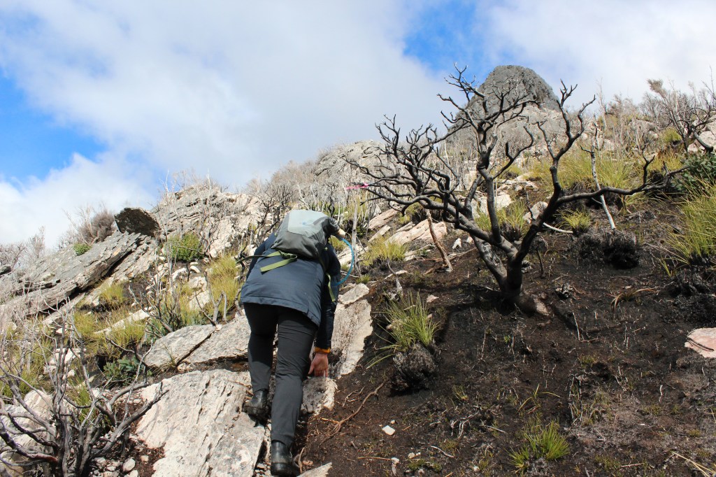 Sapphire, from Sapphire and Sommelier scales a small boulder-face along the track. The tip of the first rock formation is visable over the ridge-line. 