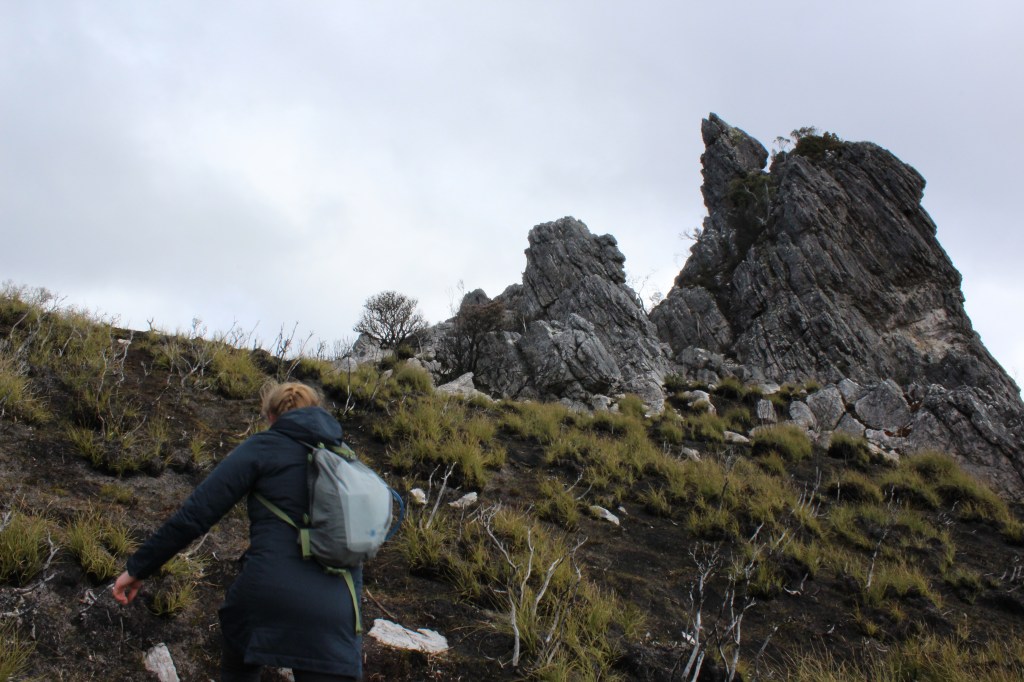 Jagged, toothlike rock formations peak stand, formidable, on the burned ground. 