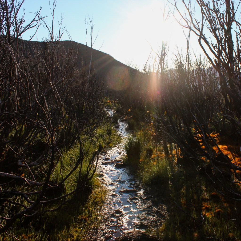 The muddy trail at the base of the Needles