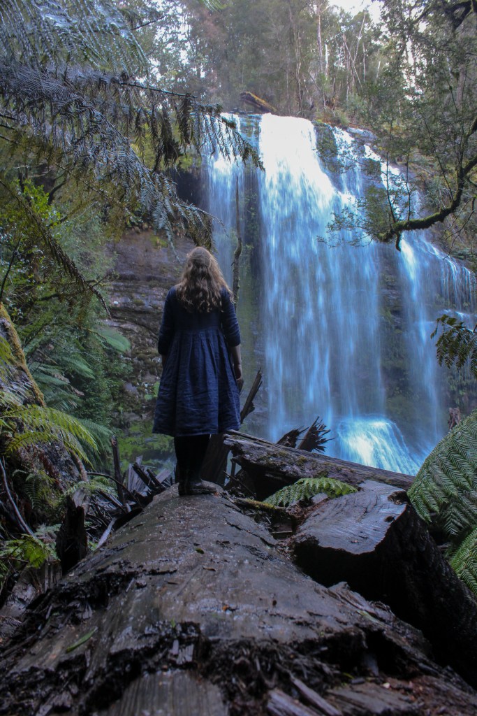 Sapphire is standing on a fallen tree that forms a sort of plank that allows her to get a better look at Marriotts Falls. She has her back to the camera.