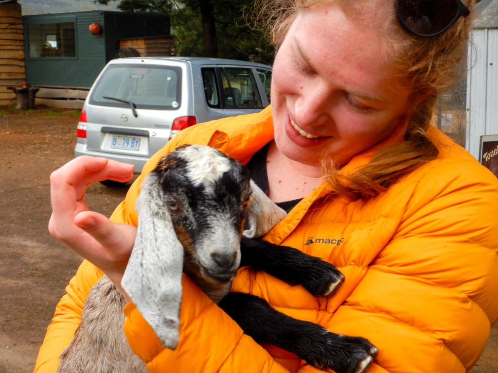 Sapphire is wearing bright yellow and holding a baby goat with long, floppy ears.