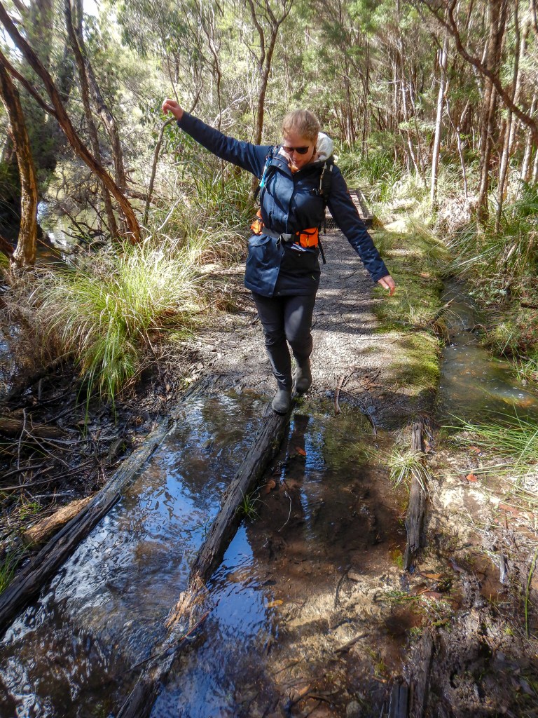Sapphire crosses a puddle by balancing on a narrow beam in the centre. 