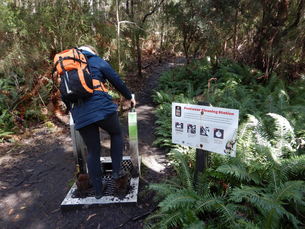 Sapphire scrubs her boots off at the boot cleaning station nestled in amongst the forest greenery. 