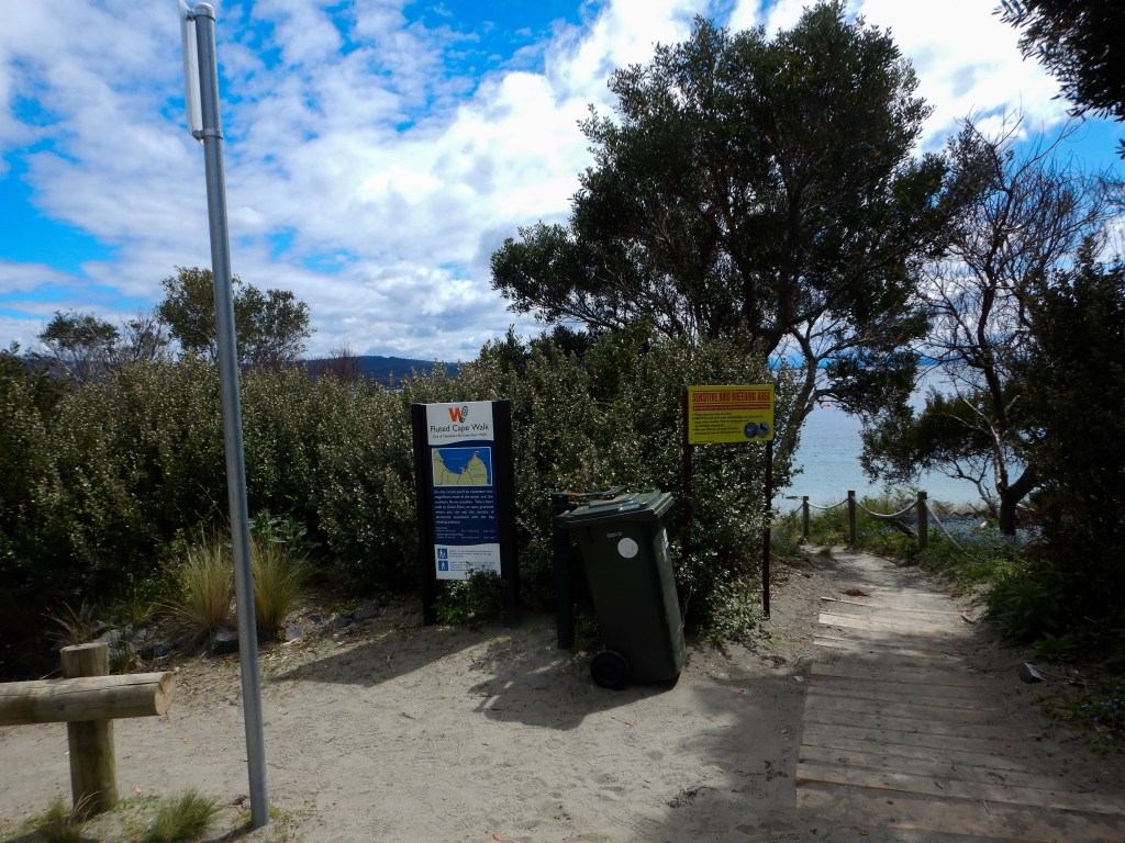 a sign reading "Fluted Cape walk" with a map of the loop track and another sign stating that it is a sensitive species breeding area and to walk on wet sand.