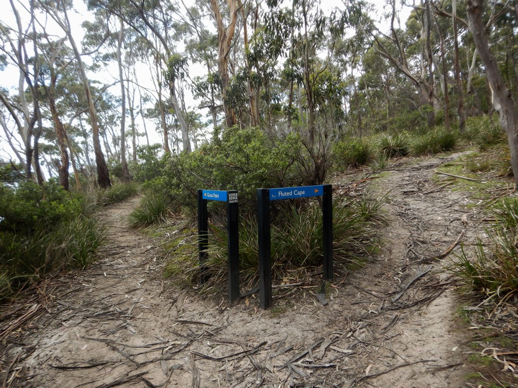A fork in the road and a sign reading "fluted Cape" to the right and "grass point" to the left. As this is a loop track either path may be taken.
