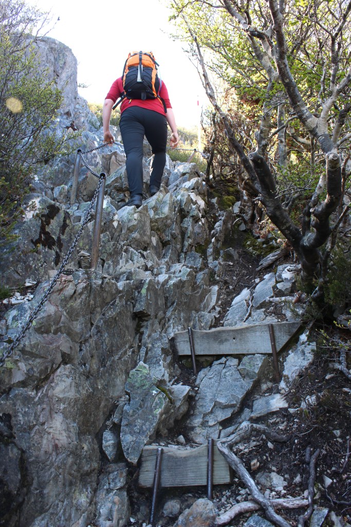 Sapphire is pictured in a bright red shirt and an orange backpack making the very steep ascent up to marions lookout with some assistance from the chain link fence provided. 
