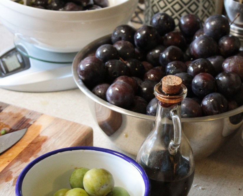 Spiced Plum Fruit&nbsp;Leather
