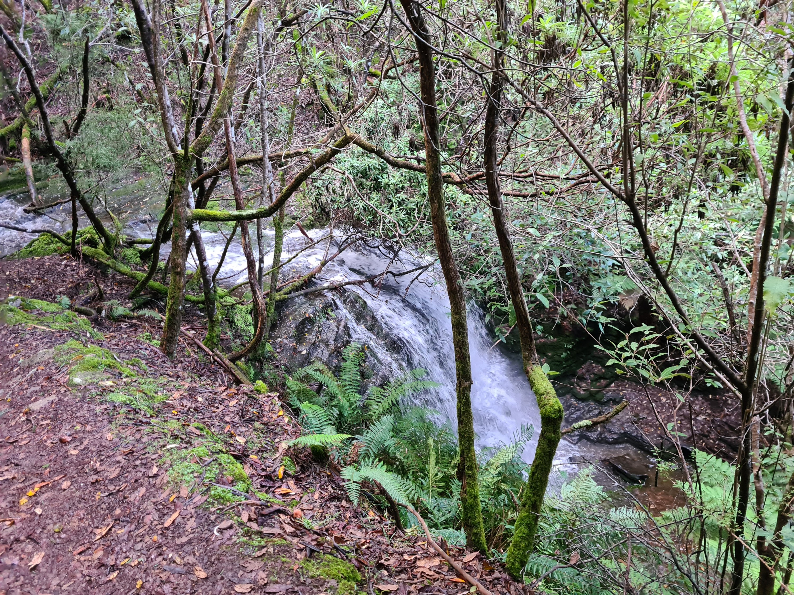 The top of the waterfall, as viewed from the path. It carries on to 2 smaller tiers below and is flowing very heavily thanks to all the rain that there has been at the moment