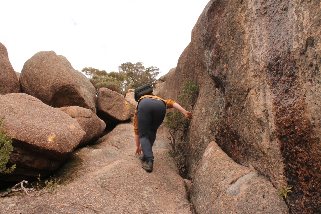 Sapphire is bent over using her hands to keep hold of the surrounding rocks. Brushy trees grow in every available crevasse.