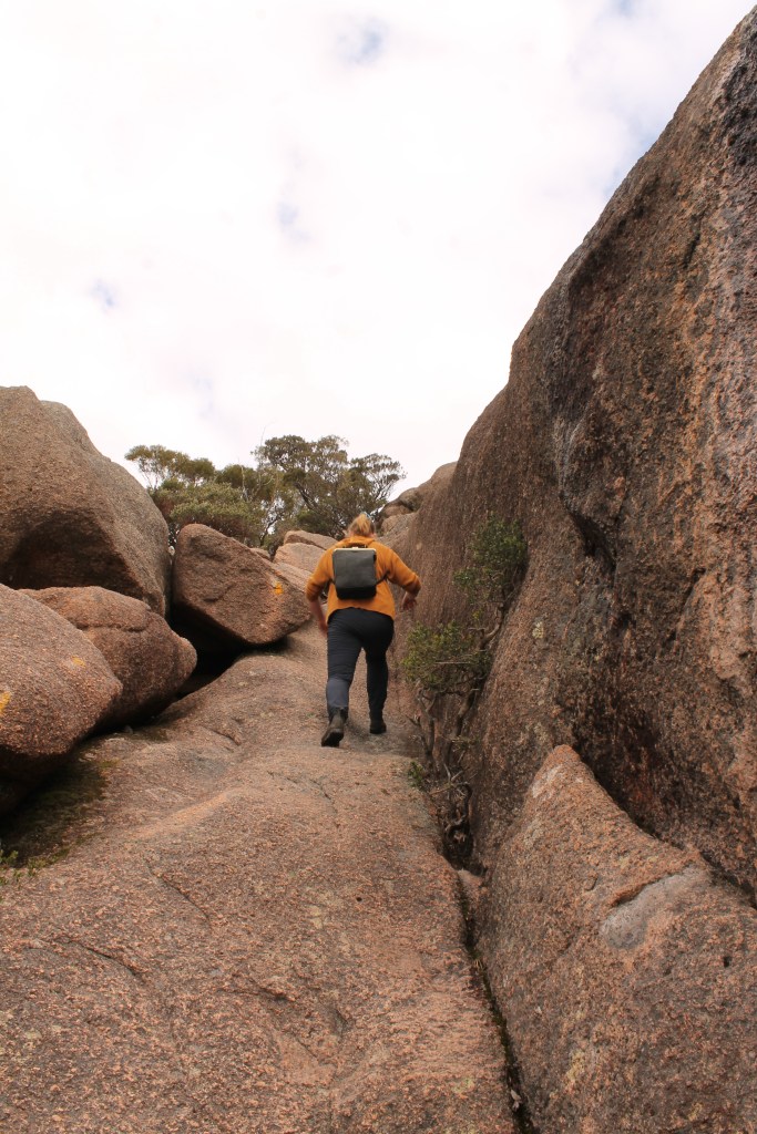 Taller trees are visible in the middle left distance. These are growing on the summit.