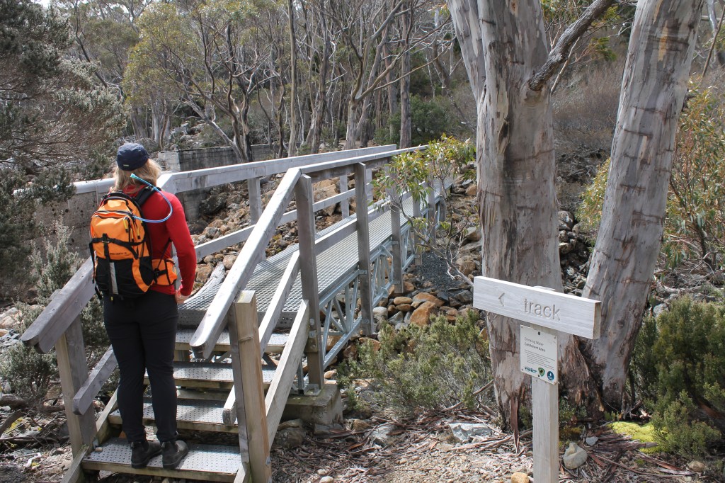 Sapphire stands on a flight of stairs that lead across a bridge that crosses a small stream feeding Lake Dobson. 