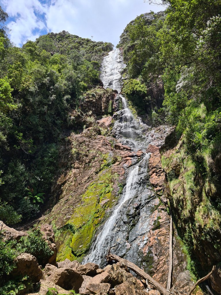 The white streak of Montezuma Falls cuts a path down the towering, forested cliff. 