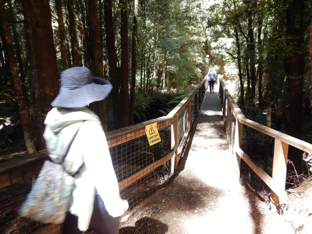 Sapphire's sister, wearing a blue hat and white shirt with a tote bag slung over her back like a back pack crosses the bridge into the forest. 