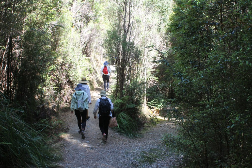 The group takes the fork in the road to the left.