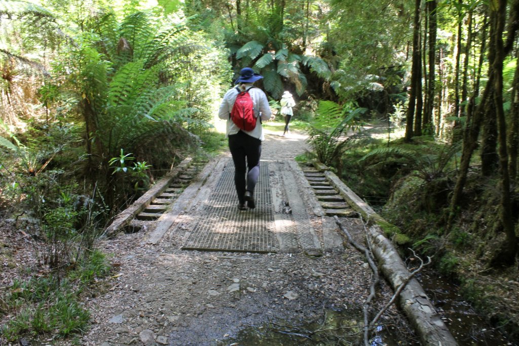 Sapphire, in dark pants, white shirt with a red backpack and blue hat, crosses a bridge lined with ferns. Her sister is just ahead on the path.