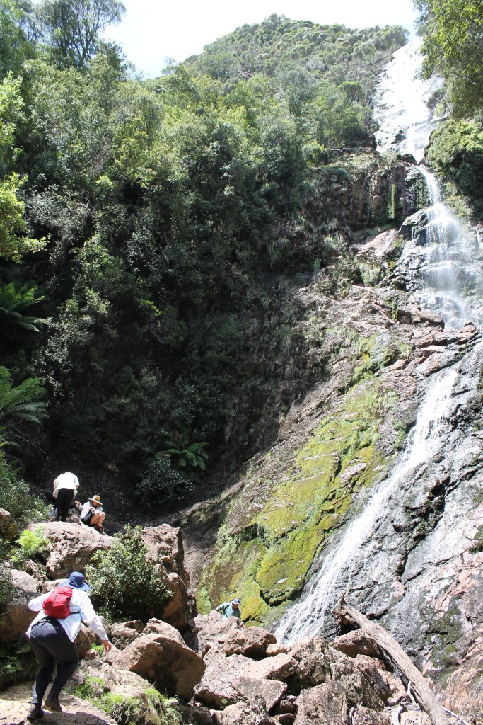 montezuma falls towers over the family as they gather on the rocks below for lunch. Sapphire, who has a red backpack on is walking to join them. 